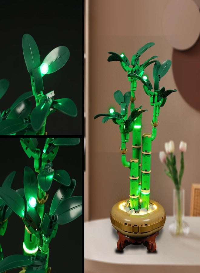 Vaodest مصباح Vaodest LED لمجموعة Lego 10344 Lucky Bamboo (متوافق مع مكعبات بناء Lego 10344، مصباح LED فقط) - Image 5